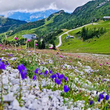 アパート Schans ヘルマゴル